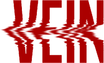 VEIN Server Hosting