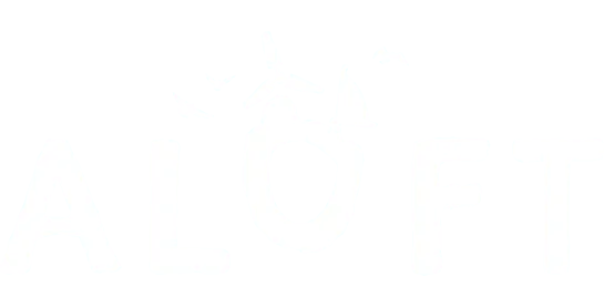 Aloft Server Hosting