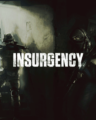Insurgency