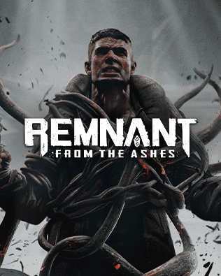 Remnants